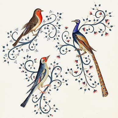 Oiseaux, une composition de Sergine DECRON