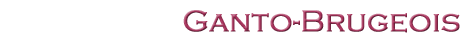 Ganto-Brugois - Stage enluminure