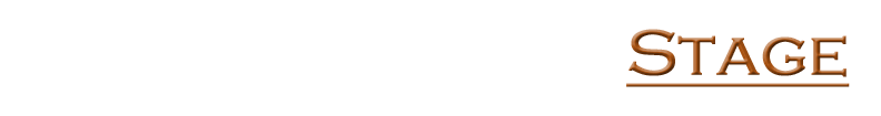Stage Enluminure