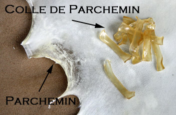 Colle de Parchemin - Liant pour l'enluminure