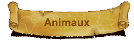 Animaux